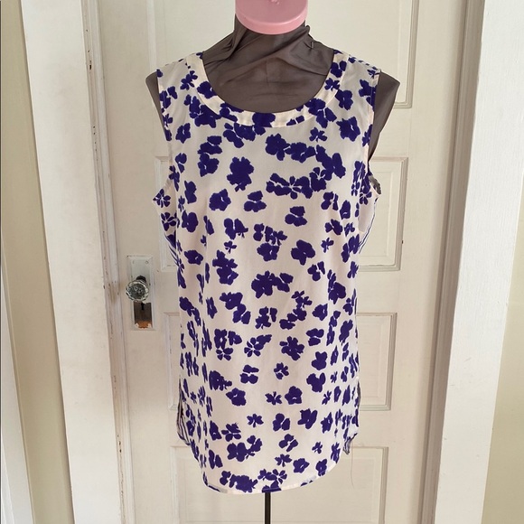CAbi Blue and Cream Sleeveless‎ Floral Striped Blouse Medium - Picture 1 of 6